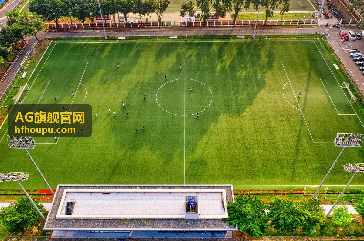 AG旗舰官网数据报表功能界面